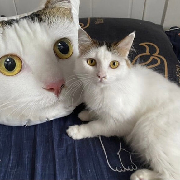 3D Custom Cute Pet Pillow