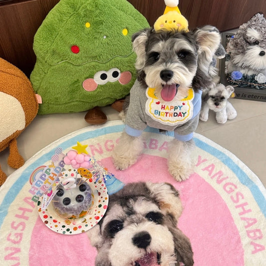 Custom Pet Portrait Carpet