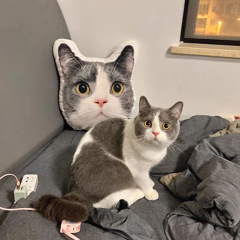 3D Custom Cute Pet Pillow