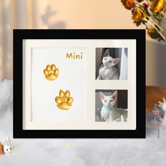 DIY Pet Paw Print Memorial Photo Frame