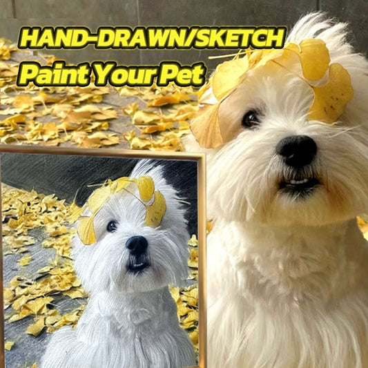 Pet Hand-drawn / Sketch