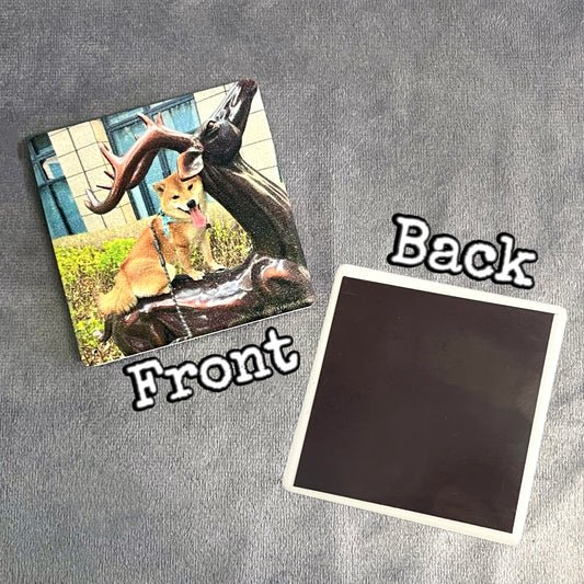 Pet Photo Refrigerator Magnetic Porcelain Patch